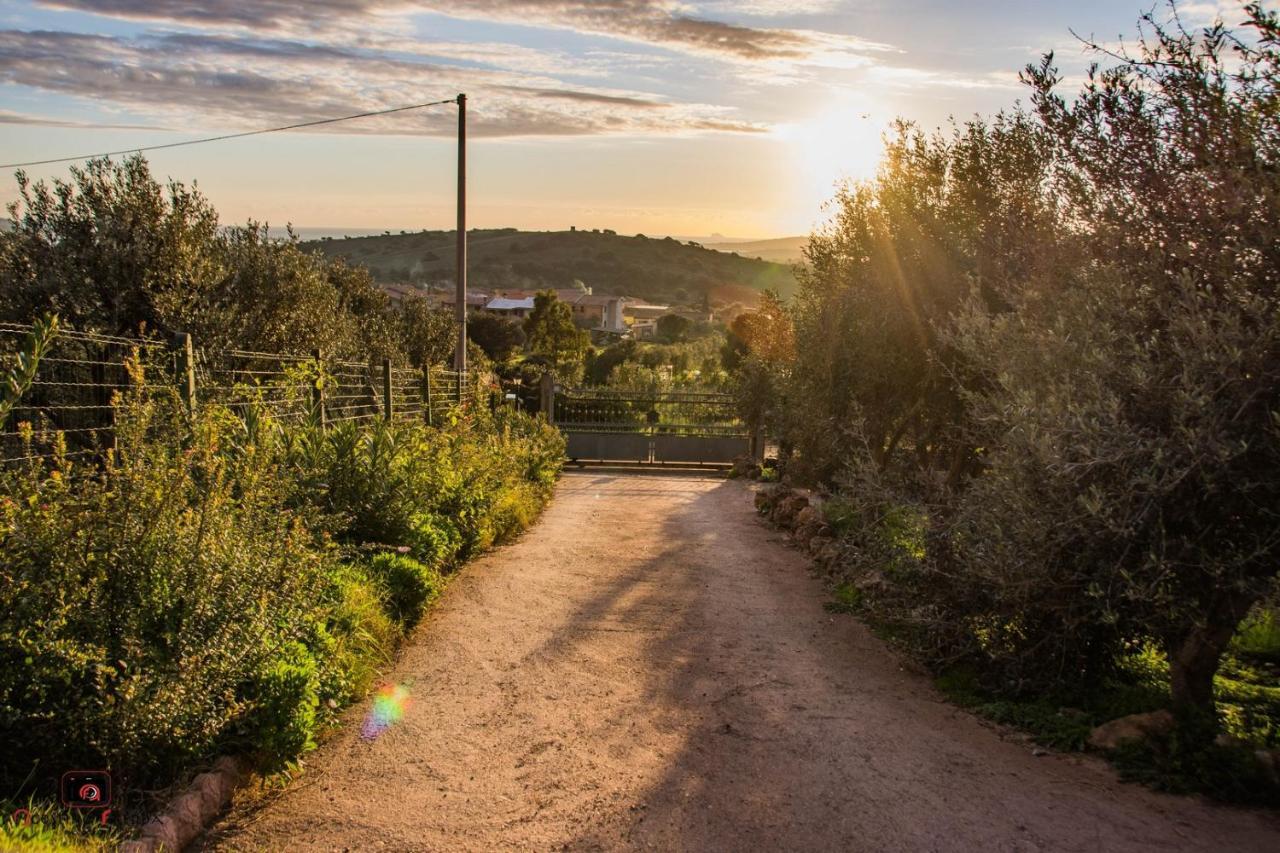Casa Vacanza Le Dune Villa SantʼAnna Arresi Eksteriør bilde
