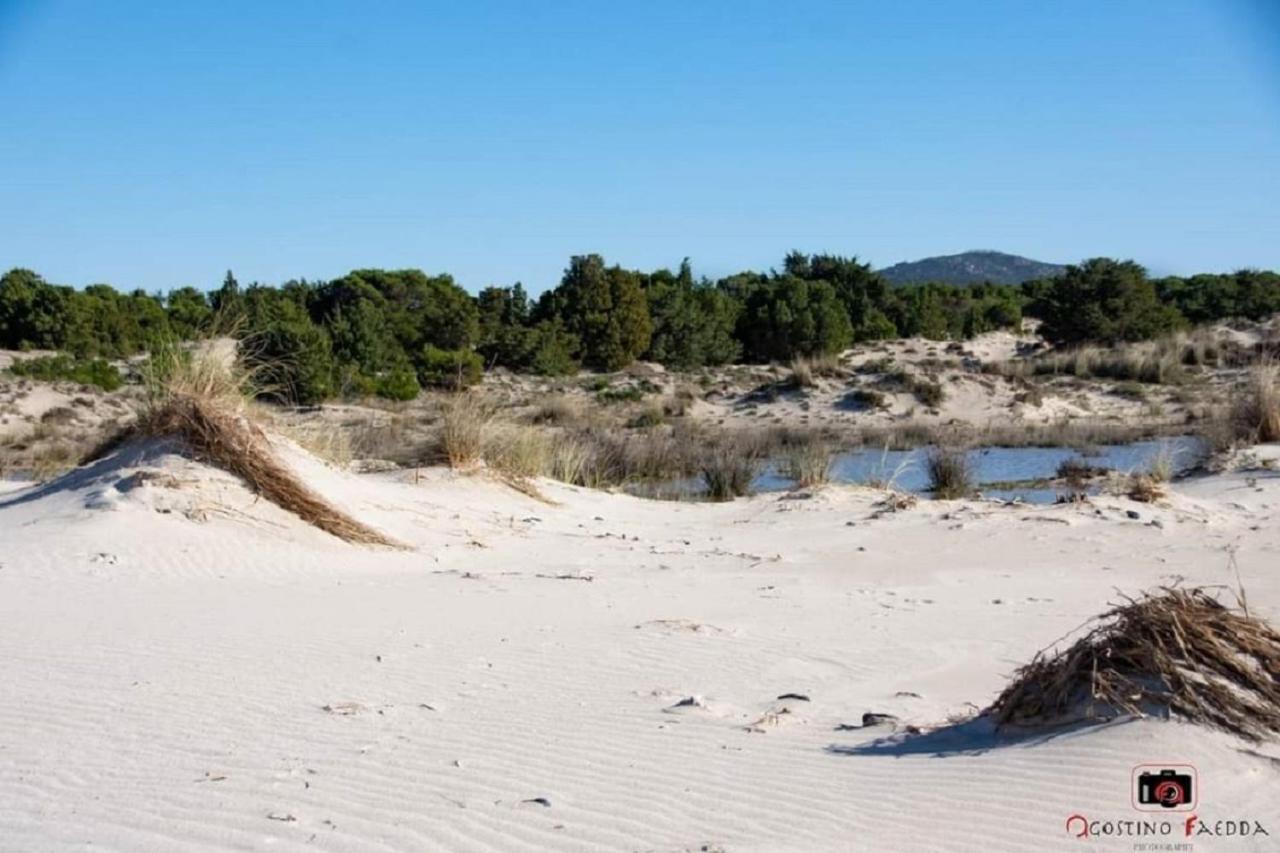 Casa Vacanza Le Dune Villa SantʼAnna Arresi Eksteriør bilde